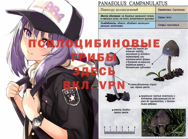 MESCALINE Абдулино